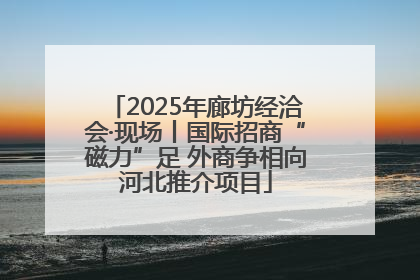 2025年廊坊经洽会·现场丨国际招商“磁力”足 外商争相向河北推介项目